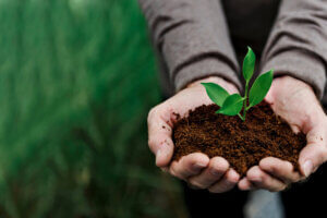 Organik Ürünlerin Önemi: Sağlığınıza ve Çevreye Duyarlı Bir Seçim 10